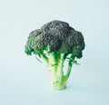 Fresh Broccoli