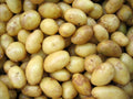 White Potatoes