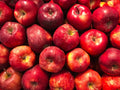 Fresh Peaches