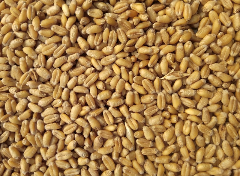 Atta (Whole Wheat Flour)