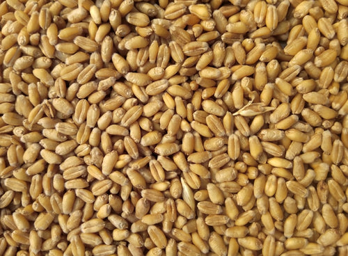 Atta (Whole Wheat Flour)