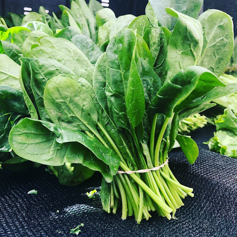 Baby Spinach