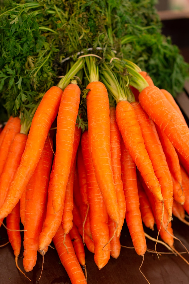 White Radish (Mooli)