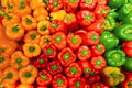 Bitter Gourd (Karela)