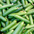 Fresh Cucumber