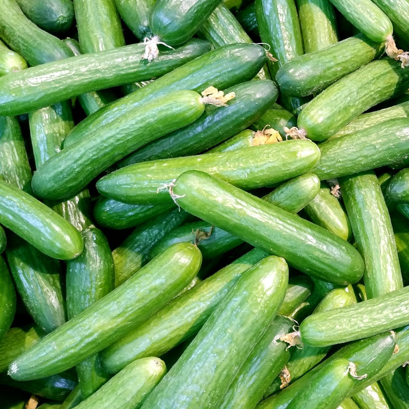 Fresh Cucumber