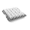 Fresh Eggs (Budget)