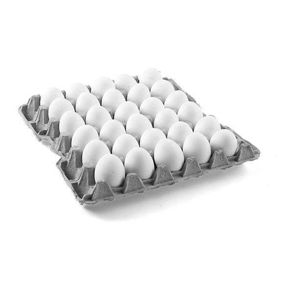 Fresh Eggs (Budget)